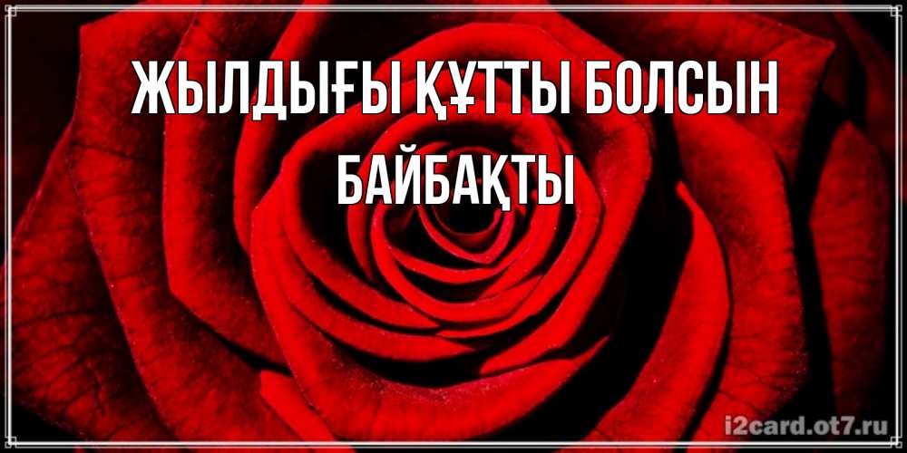 Күн сайын ашық хат с именем, Байбақты Жылдығы құтты болсын алая роза Онлайн тегін жүктеп алу тілектері бар керемет карта 