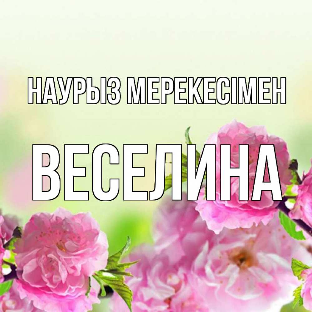 Күн сайын ашық хат с именем, Веселина Наурыз мерекесімен цветы Онлайн тегін жүктеп алу тілектері бар керемет карта 