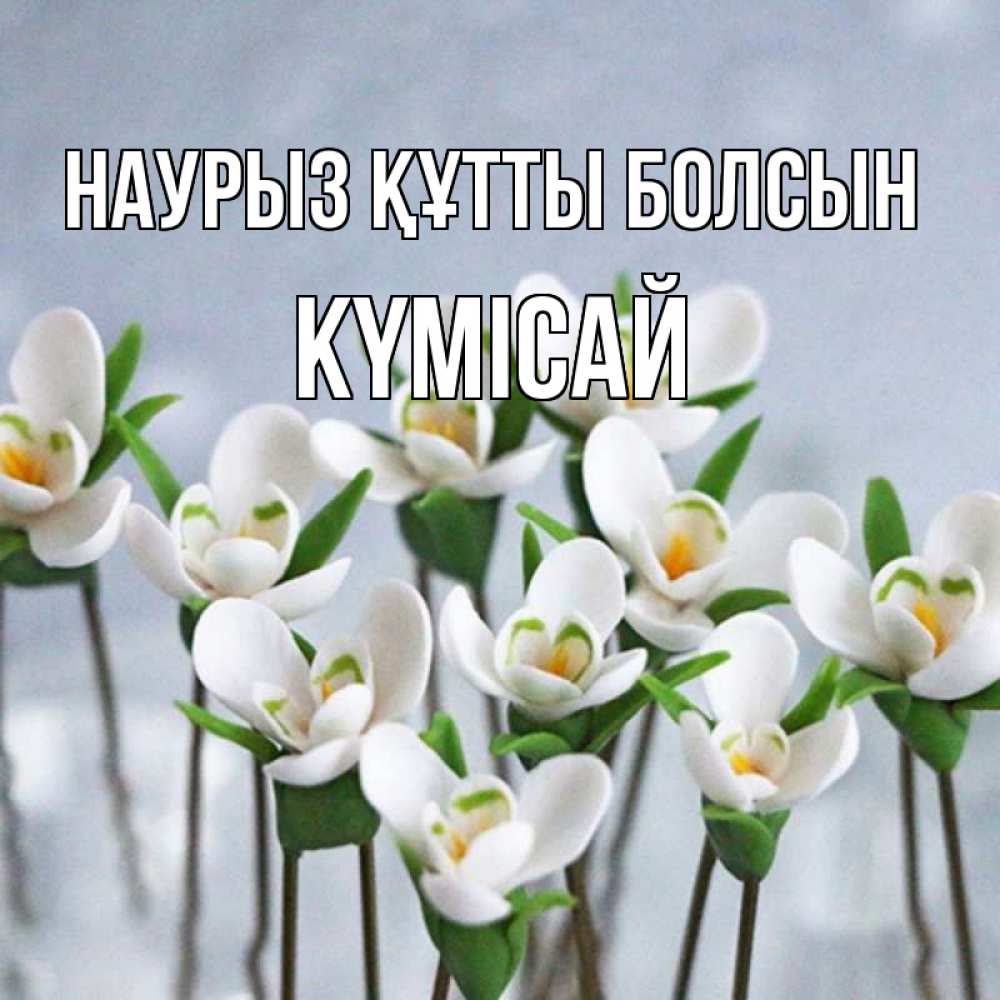 Күн сайын ашық хат с именем, КҮМІСАЙ Наурыз құтты болсын весенние цветы Онлайн тегін жүктеп алу тілектері бар керемет карта 