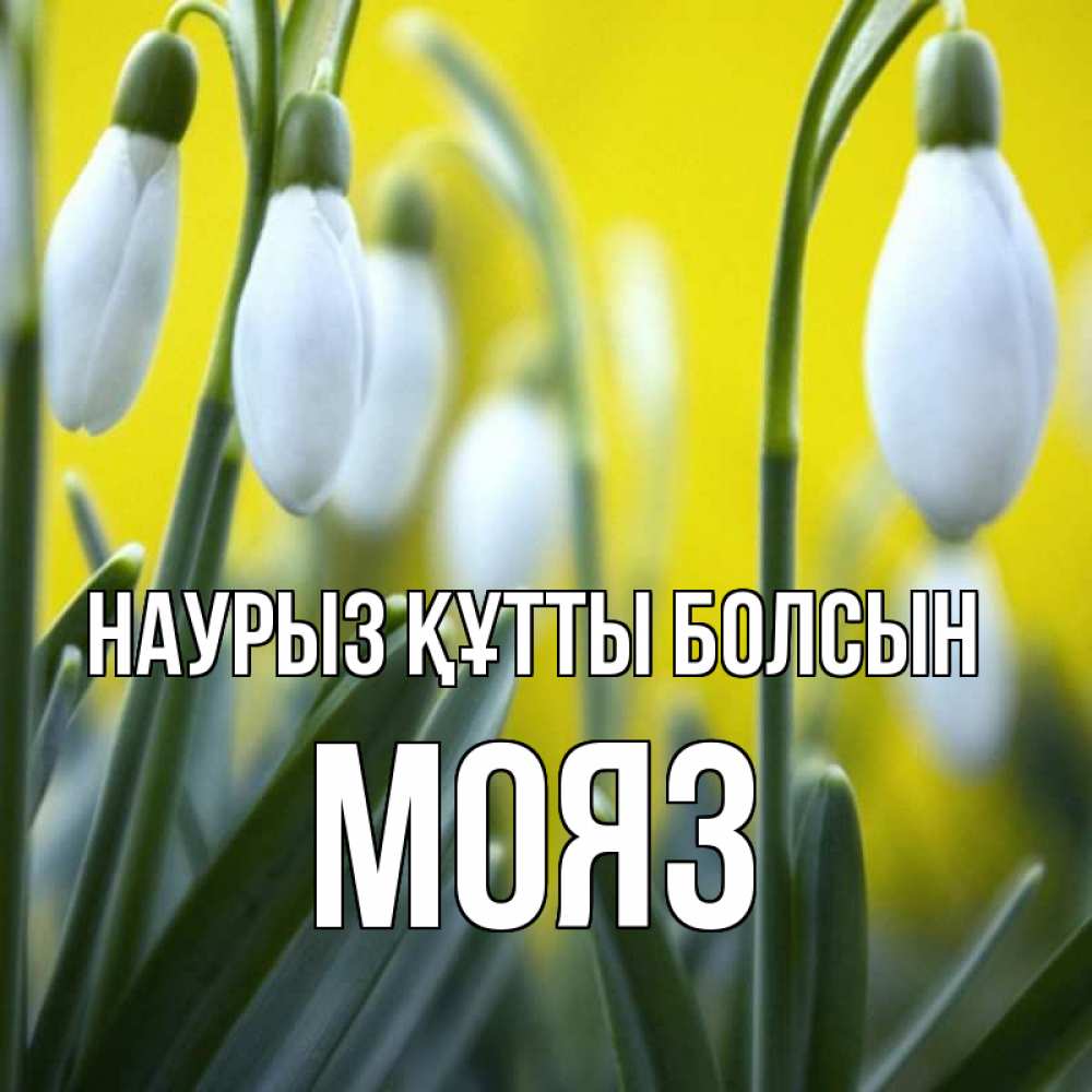 Күн сайын ашық хат с именем, МОЯЗ Наурыз құтты болсын весенние цветы Онлайн тегін жүктеп алу тілектері бар керемет карта 