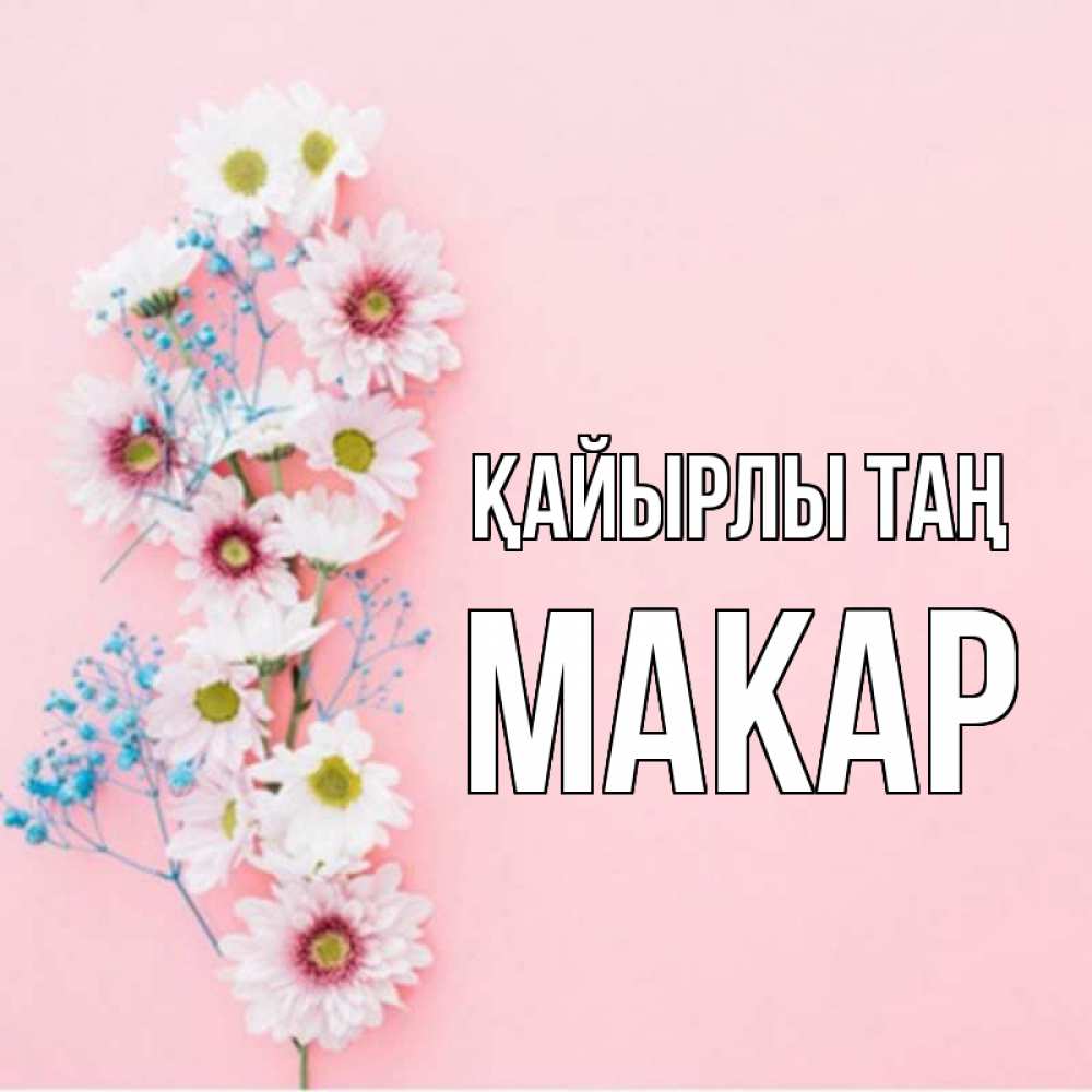 Күн сайын ашық хат с именем, Макар Қайырлы таң цветы с подписью Онлайн тегін жүктеп алу тілектері бар керемет карта 