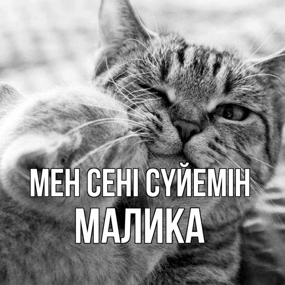 Күн сайын ашық хат с именем, Малика Мен сені сүйемін коты Онлайн тегін жүктеп алу тілектері бар керемет карта 