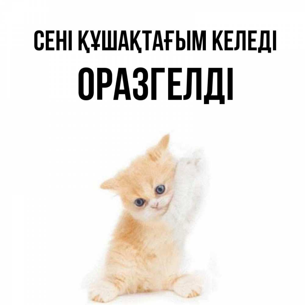 Күн сайын ашық хат с именем, ОРАЗГЕЛДІ сені құшақтағым келеді я хочу очень скорее обнимаешек Онлайн тегін жүктеп алу тілектері бар керемет карта 