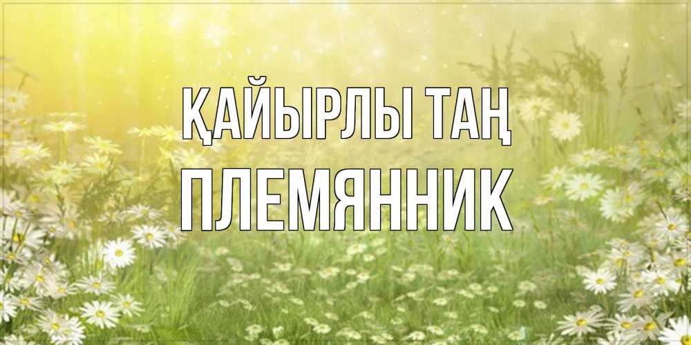 Күн сайын ашық хат с именем, Племянник Қайырлы таң доброе утро Онлайн тегін жүктеп алу тілектері бар керемет карта 