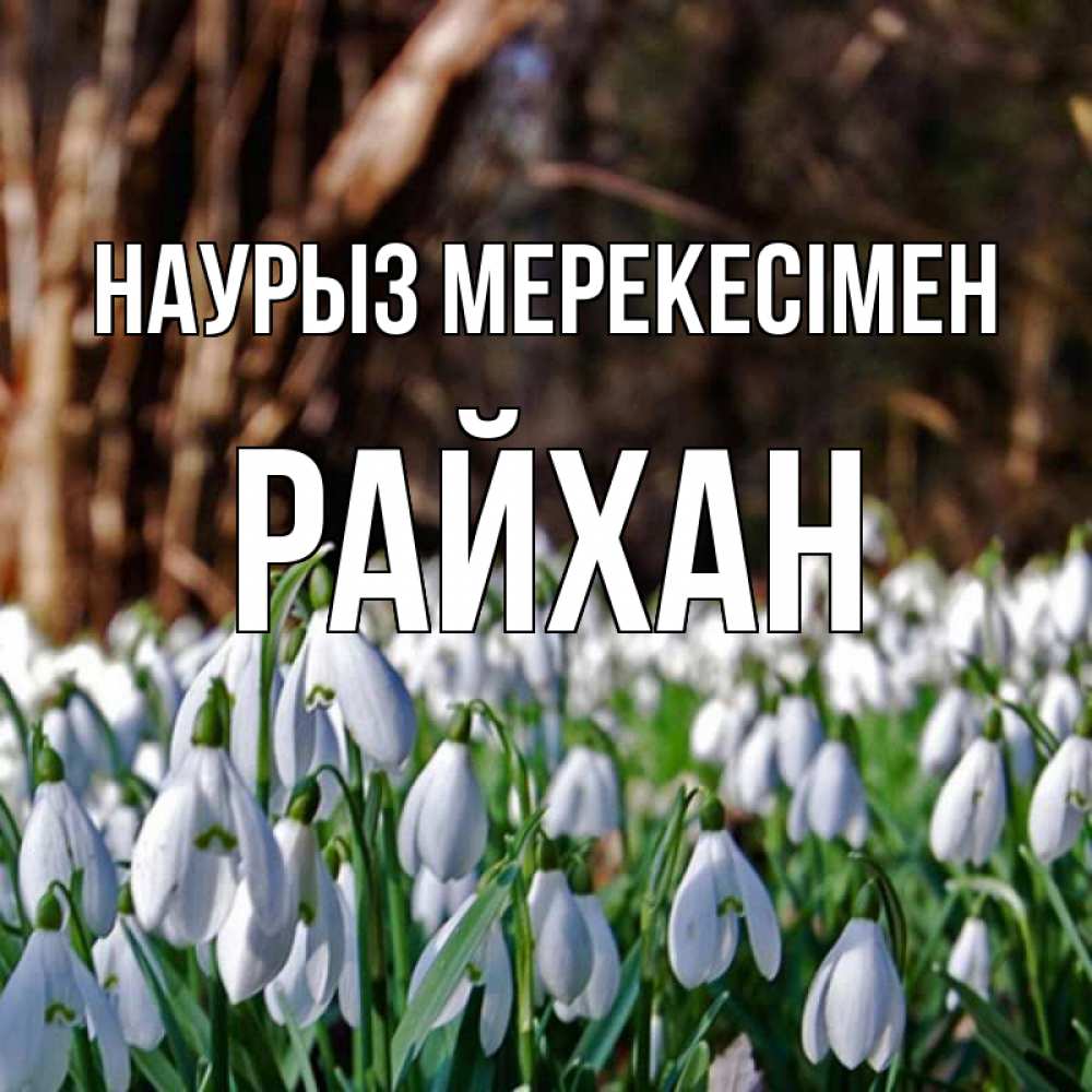Күн сайын ашық хат с именем, РАЙХАН Наурыз мерекесімен с подснежниками 1 Онлайн тегін жүктеп алу тілектері бар керемет карта 