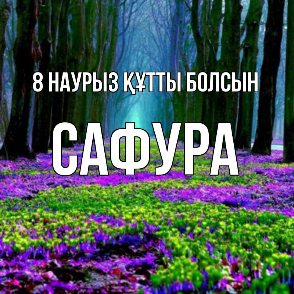Күн сайын ашық хат с именем, САФУРА 8 наурыз құтты болсын фиолетовые цветы в лесу 1 Онлайн тегін жүктеп алу тілектері бар керемет карта 