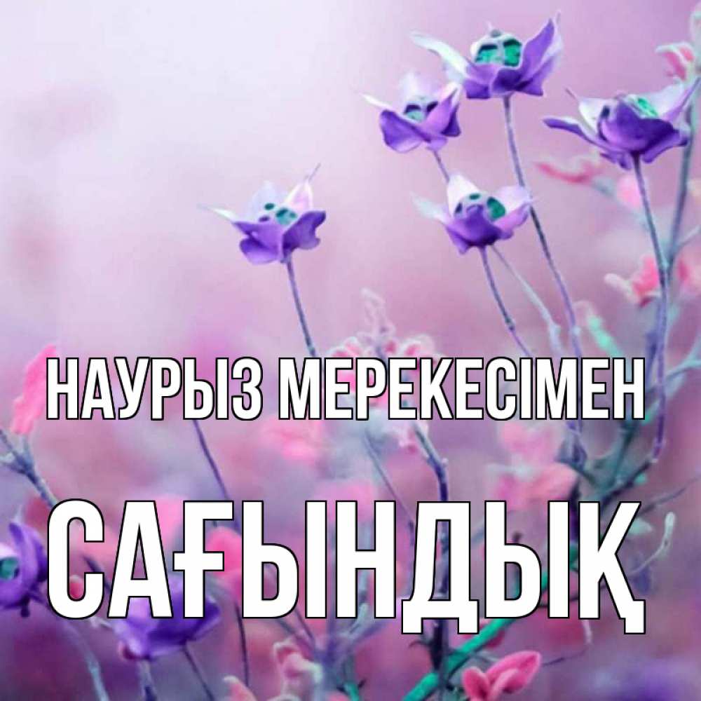 Күн сайын ашық хат с именем, САҒЫНДЫҚ Наурыз мерекесімен международный женский день 2 Онлайн тегін жүктеп алу тілектері бар керемет карта 