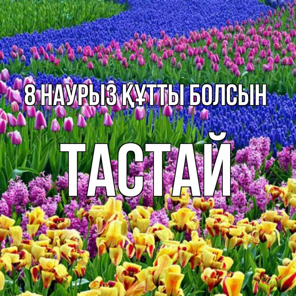 Күн сайын ашық хат с именем, ТАСТАЙ 8 наурыз құтты болсын цветы Онлайн тегін жүктеп алу тілектері бар керемет карта 