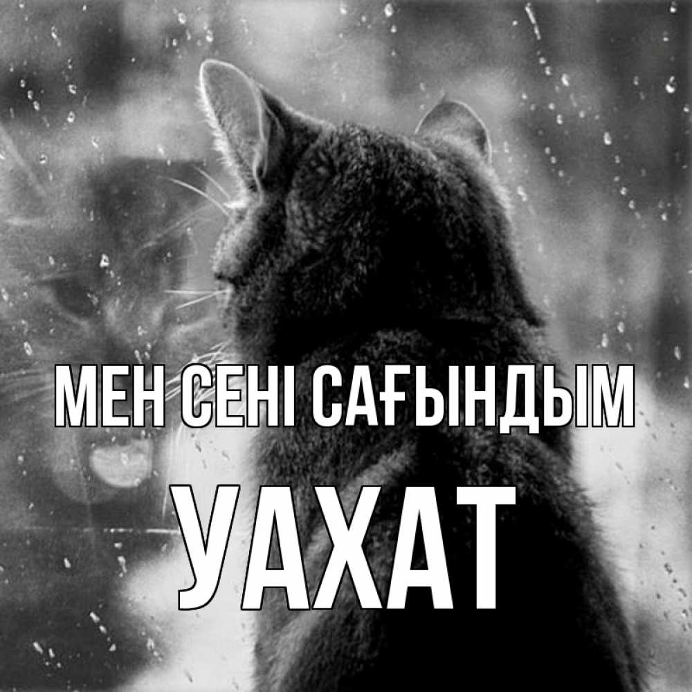 Күн сайын ашық хат с именем, УАХАТ Мен сені сағындым скорее ко мне приходи 1 Онлайн тегін жүктеп алу тілектері бар керемет карта 
