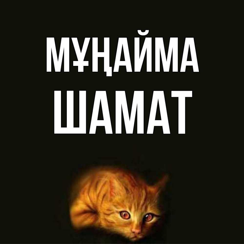 Күн сайын ашық хат с именем, ШАМАТ Мұңайма лежащий кот в темноте Онлайн тегін жүктеп алу тілектері бар керемет карта 