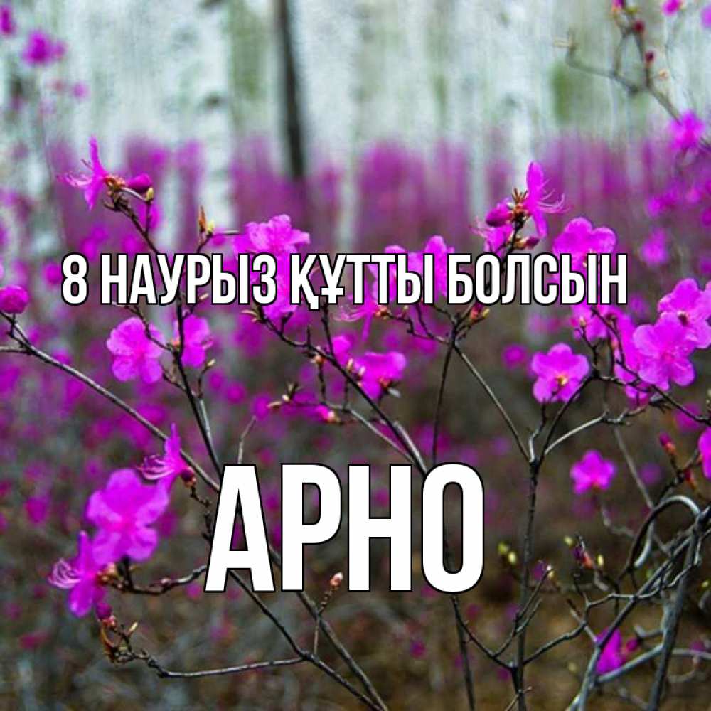 Күн сайын ашық хат с именем, Арно 8 наурыз құтты болсын дикие цветы Онлайн тегін жүктеп алу тілектері бар керемет карта 