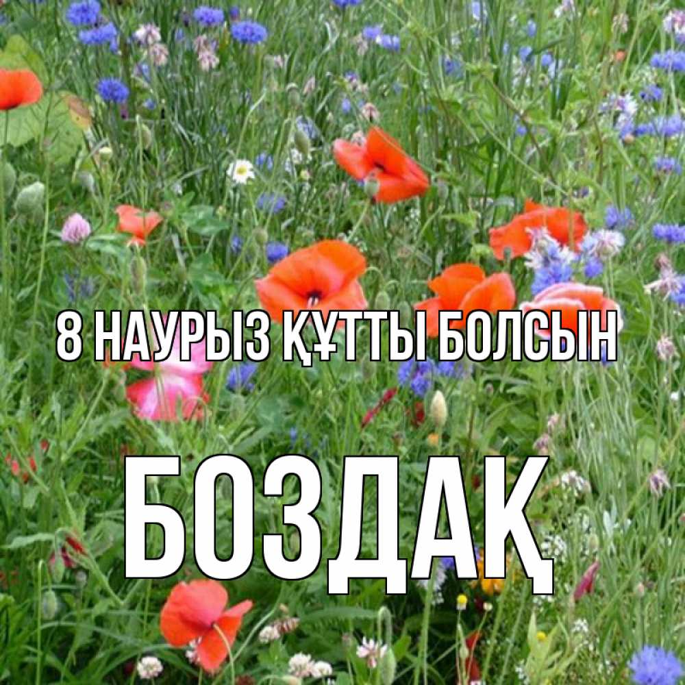Күн сайын ашық хат с именем, Боздақ 8 наурыз құтты болсын международный женский день 4 Онлайн тегін жүктеп алу тілектері бар керемет карта 