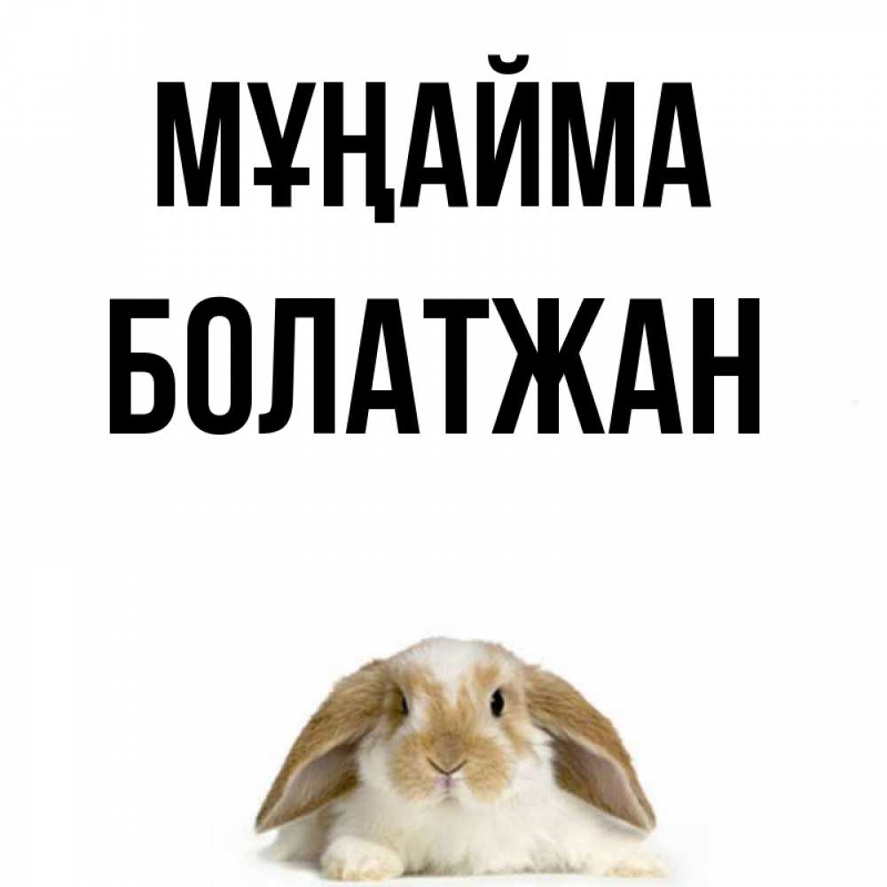 Күн сайын ашық хат с именем, Болатжан Мұңайма коричнево белый заяц с большими ушками Онлайн тегін жүктеп алу тілектері бар керемет карта 