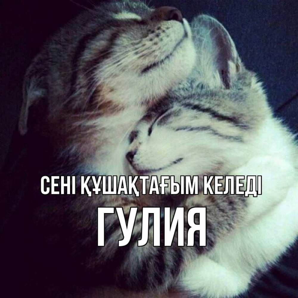 Күн сайын ашық хат с именем, Гулия сені құшақтағым келеді полосатики Онлайн тегін жүктеп алу тілектері бар керемет карта 