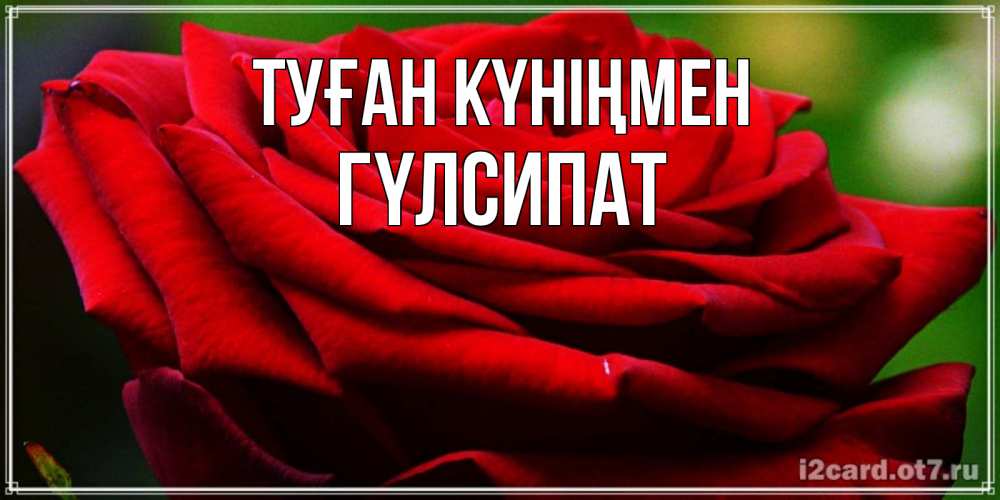 Күн сайын ашық хат с именем, ГҮЛСИПАТ Туған күніңмен розочка очень красивая Онлайн тегін жүктеп алу тілектері бар керемет карта 