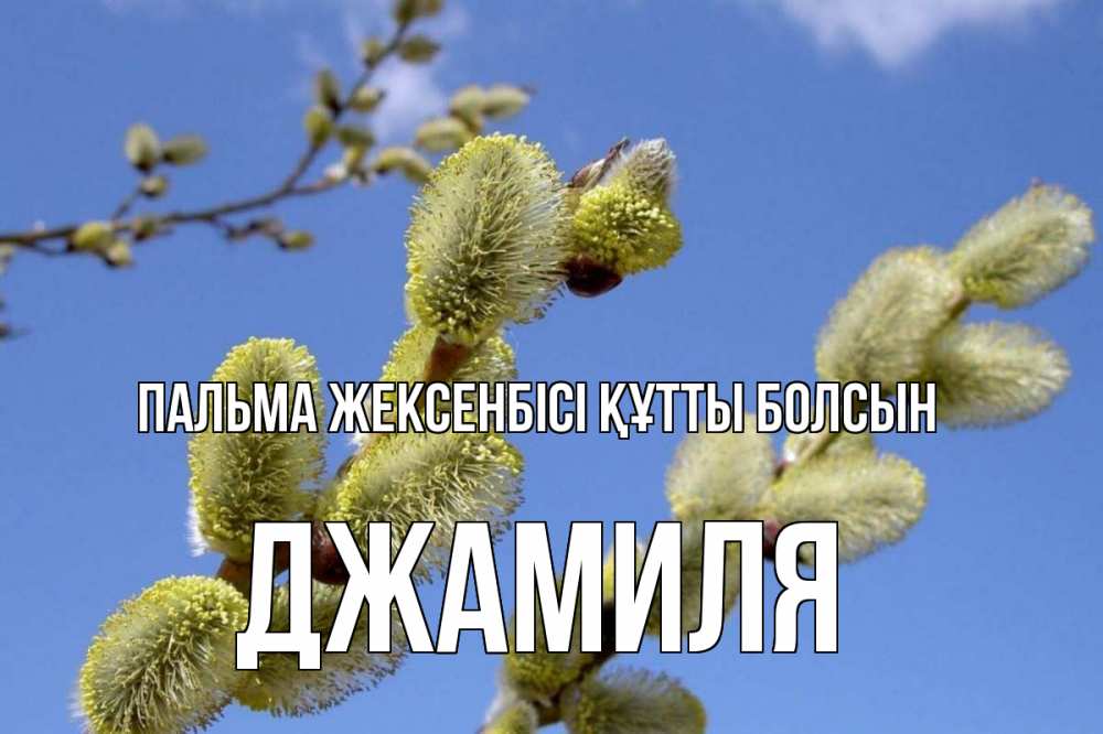 Күн сайын ашық хат с именем, Джамиля Пальма жексенбісі құтты болсын верба Онлайн тегін жүктеп алу тілектері бар керемет карта 
