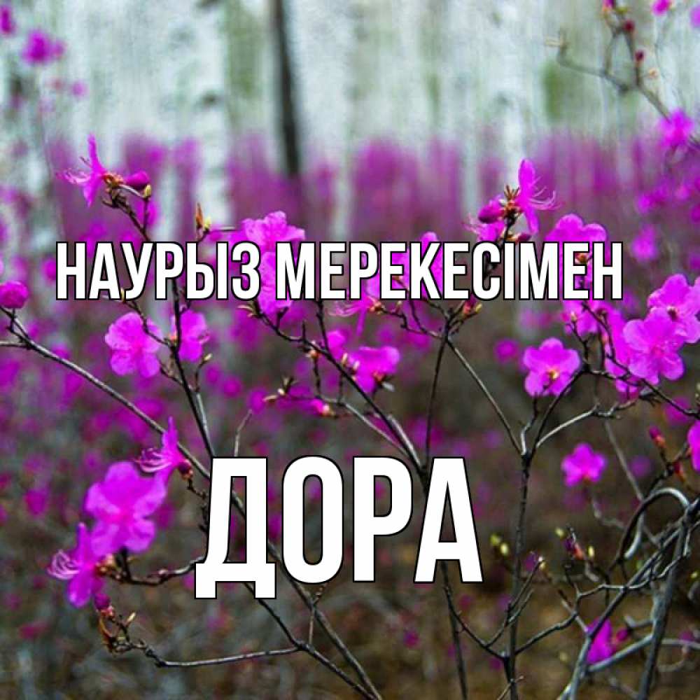 Күн сайын ашық хат с именем, Дора Наурыз мерекесімен дикие цветы Онлайн тегін жүктеп алу тілектері бар керемет карта 
