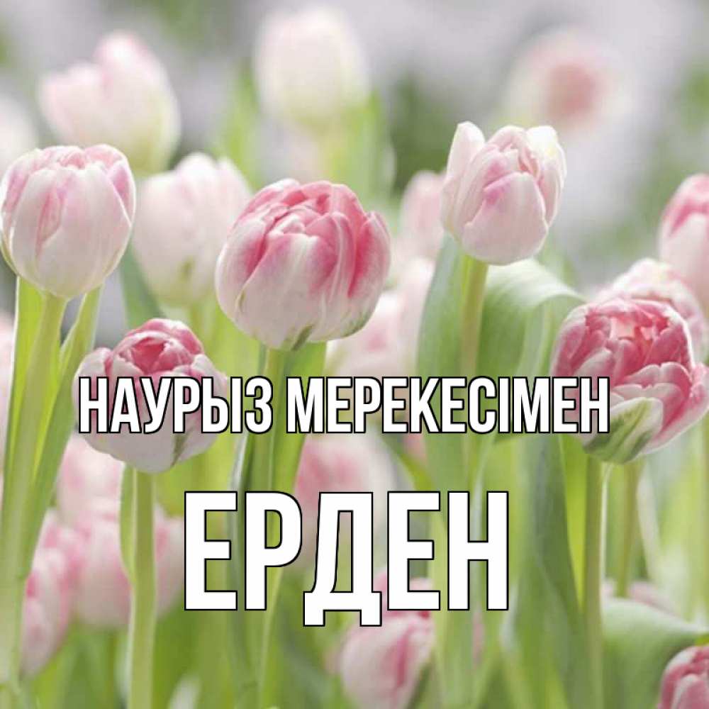 Күн сайын ашық хат с именем, Ерден Наурыз мерекесімен цветы Онлайн тегін жүктеп алу тілектері бар керемет карта 