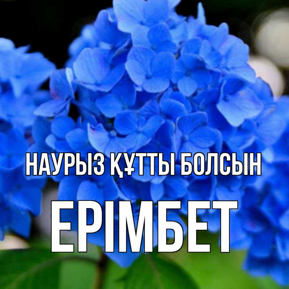 Күн сайын ашық хат с именем, Ерімбет Наурыз құтты болсын синие цветы Онлайн тегін жүктеп алу тілектері бар керемет карта 