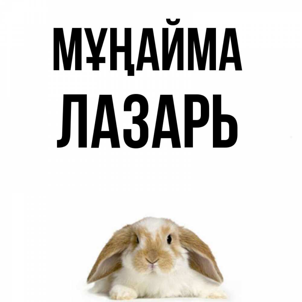 Күн сайын ашық хат с именем, Лазарь Мұңайма коричнево белый заяц с большими ушками Онлайн тегін жүктеп алу тілектері бар керемет карта 