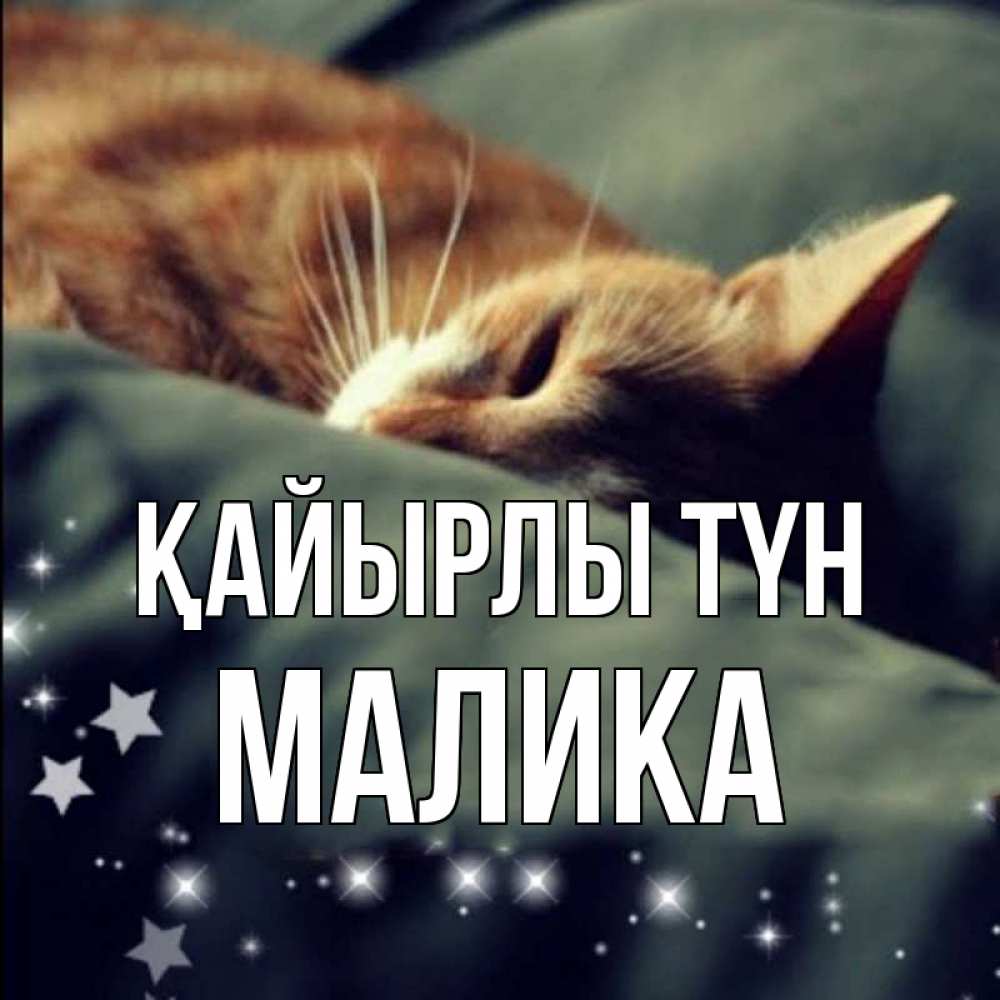 Күн сайын ашық хат с именем, Малика Қайырлы түн кроватка Онлайн тегін жүктеп алу тілектері бар керемет карта 