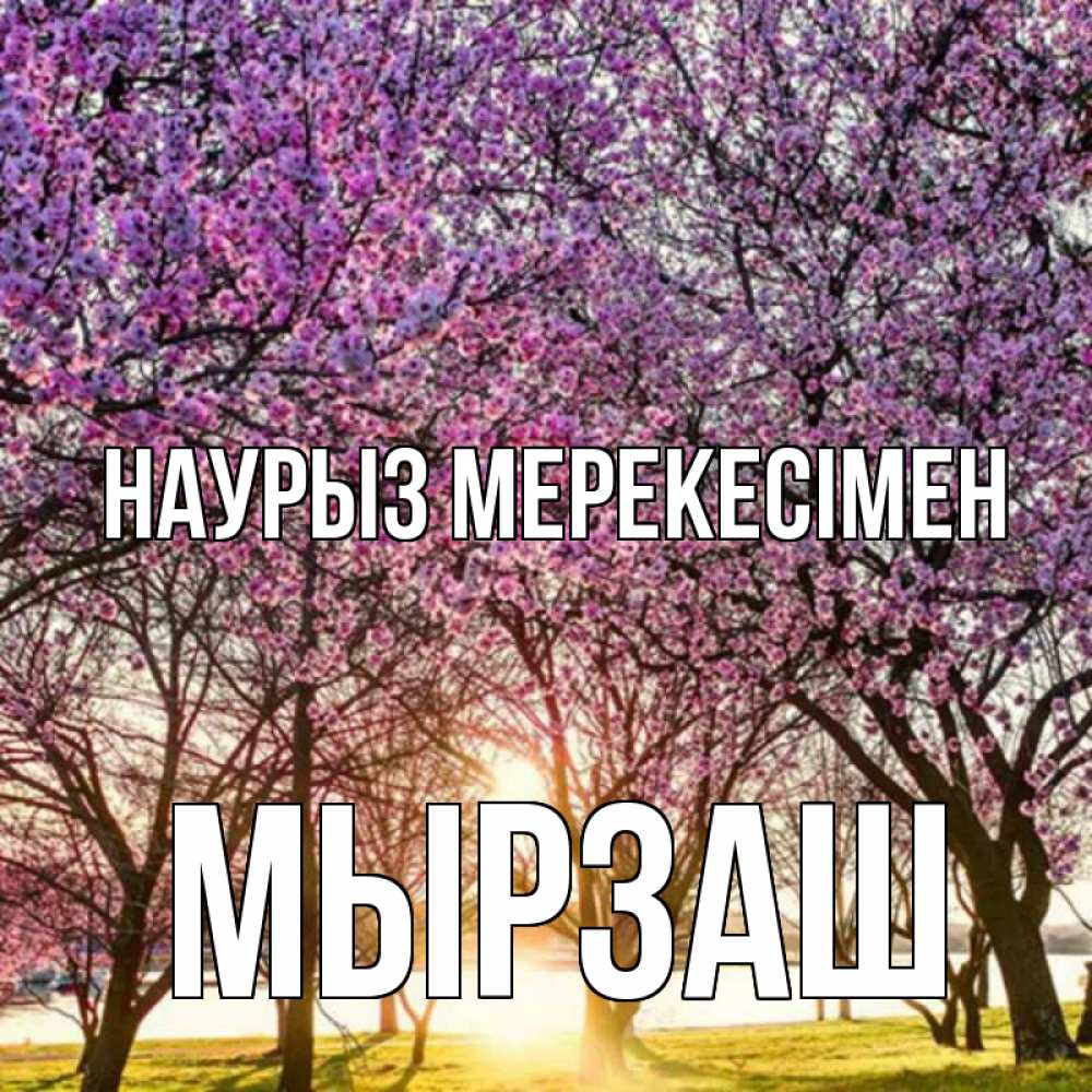 Күн сайын ашық хат с именем, Мырзаш Наурыз мерекесімен праздник весны наурыз Онлайн тегін жүктеп алу тілектері бар керемет карта 