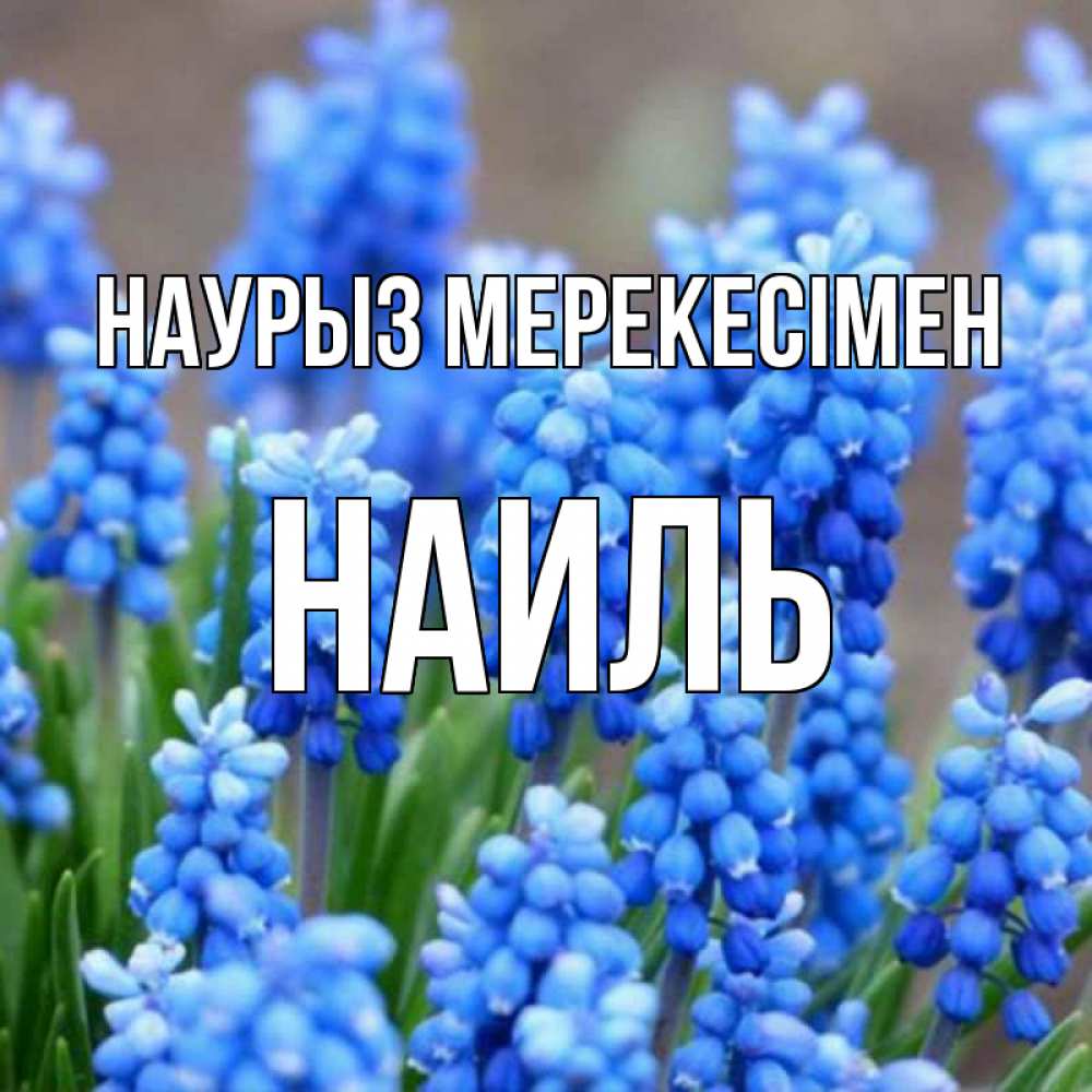 Күн сайын ашық хат с именем, Наиль Наурыз мерекесімен Поздравительная открытка для женщин с цветами на праздничную дату Онлайн тегін жүктеп алу тілектері бар керемет карта 