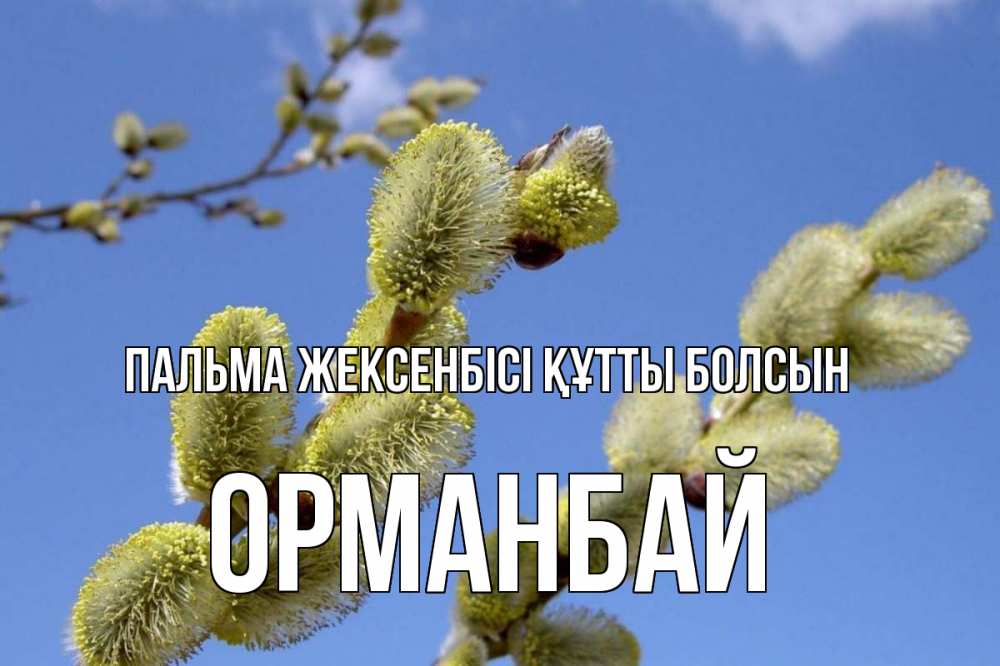 Күн сайын ашық хат с именем, ОРМАНБАЙ Пальма жексенбісі құтты болсын верба Онлайн тегін жүктеп алу тілектері бар керемет карта 