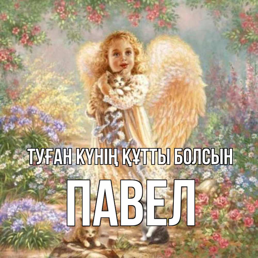 Күн сайын ашық хат с именем, Павел Туған күнің құтты болсын держит котенка Онлайн тегін жүктеп алу тілектері бар керемет карта 