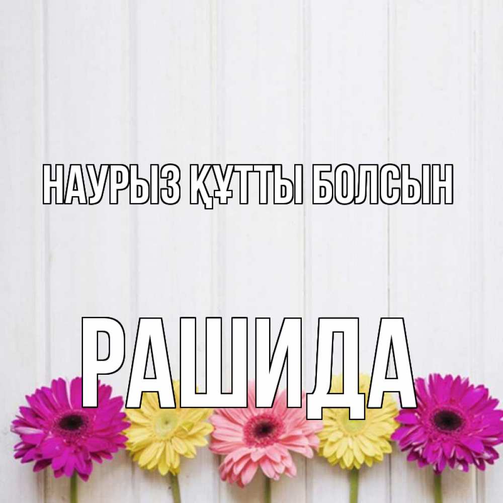 Күн сайын ашық хат с именем, РАШИДА Наурыз құтты болсын женщинам 1 Онлайн тегін жүктеп алу тілектері бар керемет карта 