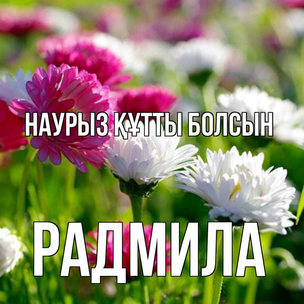 Күн сайын ашық хат с именем, Радмила Наурыз құтты болсын наурыз Онлайн тегін жүктеп алу тілектері бар керемет карта 