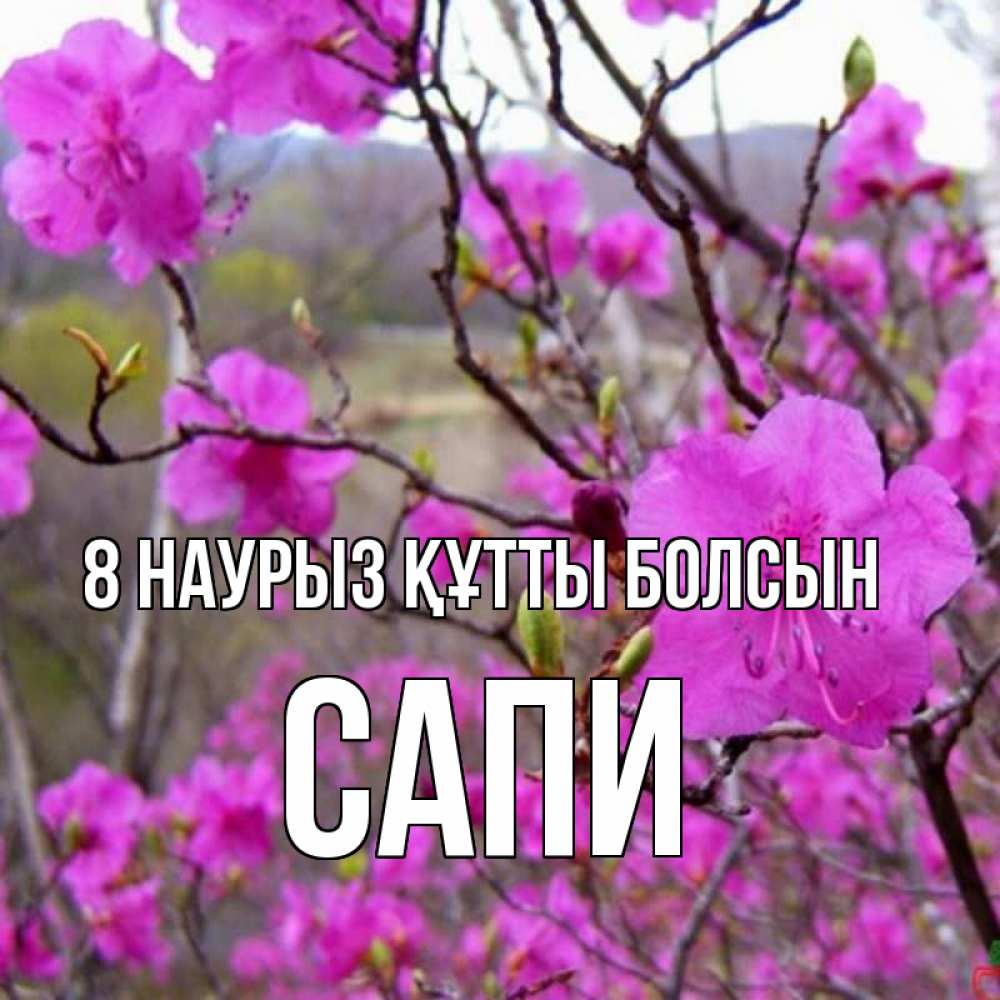 Күн сайын ашық хат с именем, САПИ 8 наурыз құтты болсын международный женский день Онлайн тегін жүктеп алу тілектері бар керемет карта 
