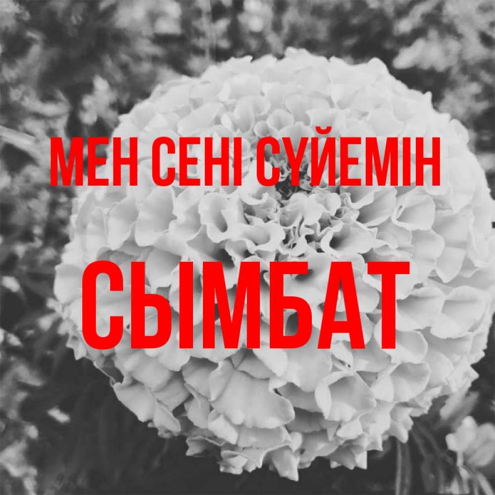 Күн сайын ашық хат с именем, СЫМБАТ Мен сені сүйемін подпись Онлайн тегін жүктеп алу тілектері бар керемет карта 