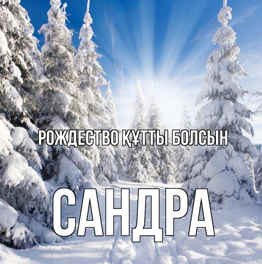 Күн сайын ашық хат с именем, Сандра Рождество құтты болсын зима, лес Онлайн тегін жүктеп алу тілектері бар керемет карта 