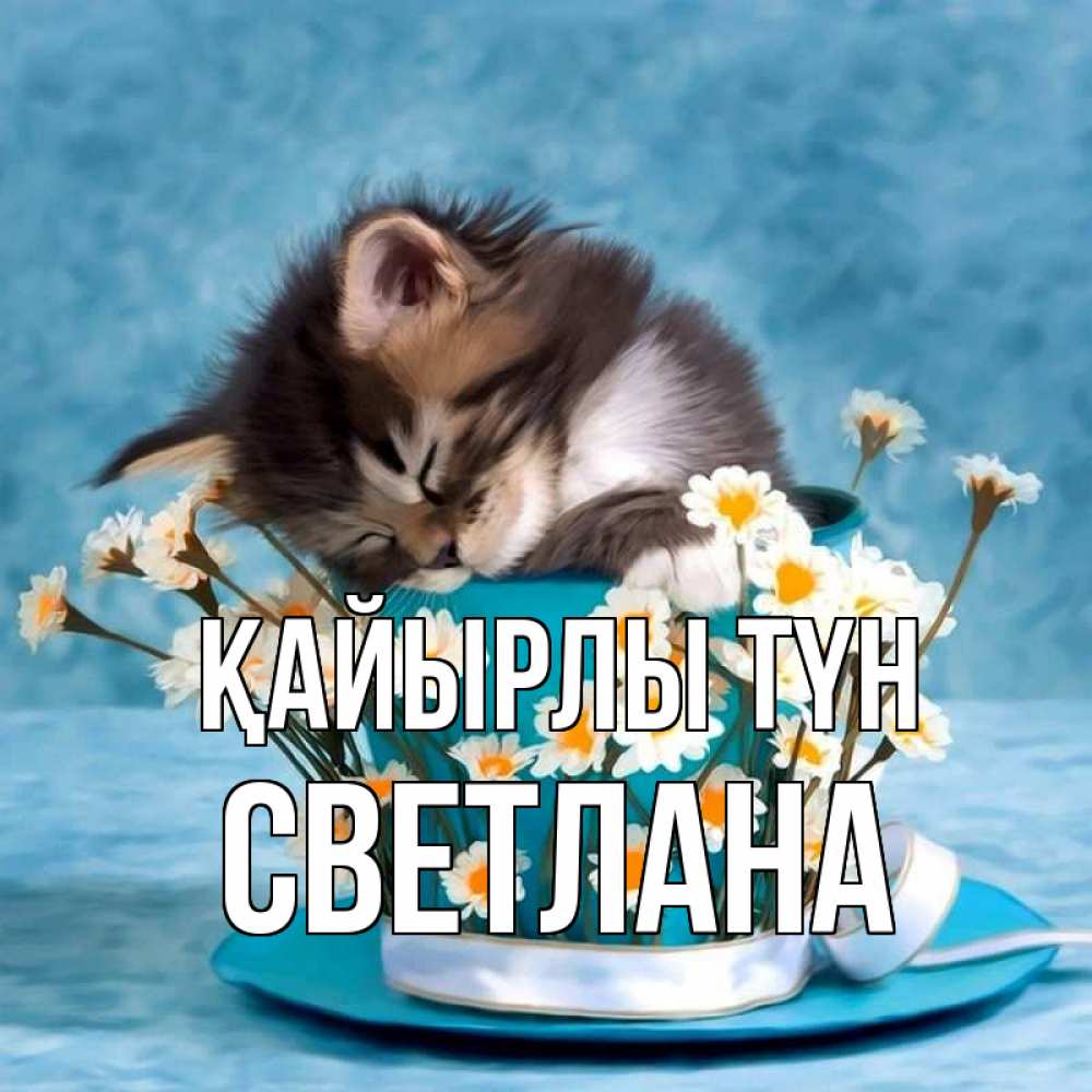 Күн сайын ашық хат с именем, Светлана Қайырлы түн котенок спит в кружке с блюдцем Онлайн тегін жүктеп алу тілектері бар керемет карта 