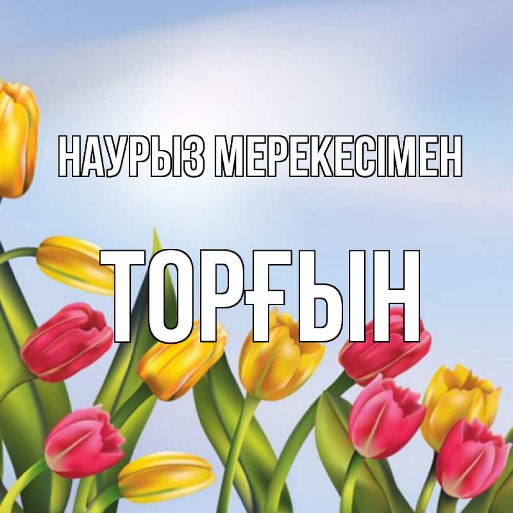 Күн сайын ашық хат с именем, ТОРҒЫН Наурыз мерекесімен праздник весны наурыз Онлайн тегін жүктеп алу тілектері бар керемет карта 