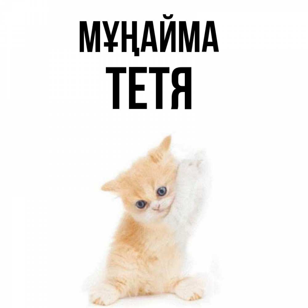 Күн сайын ашық хат с именем, Тетя Мұңайма просящий кот Онлайн тегін жүктеп алу тілектері бар керемет карта 