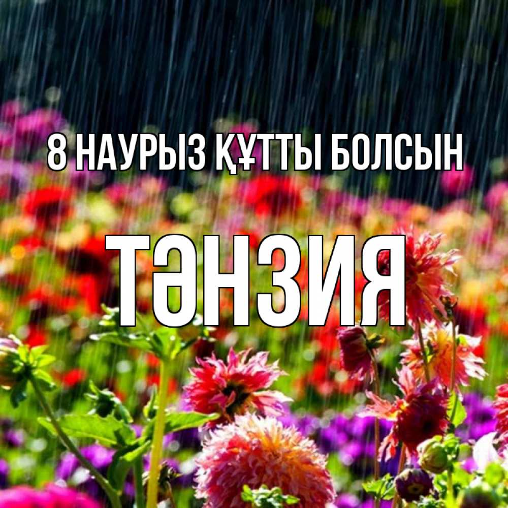 Күн сайын ашық хат с именем, ТӘНЗИЯ 8 наурыз құтты болсын цветы под дождиком к международному женскому дню Онлайн тегін жүктеп алу тілектері бар керемет карта 