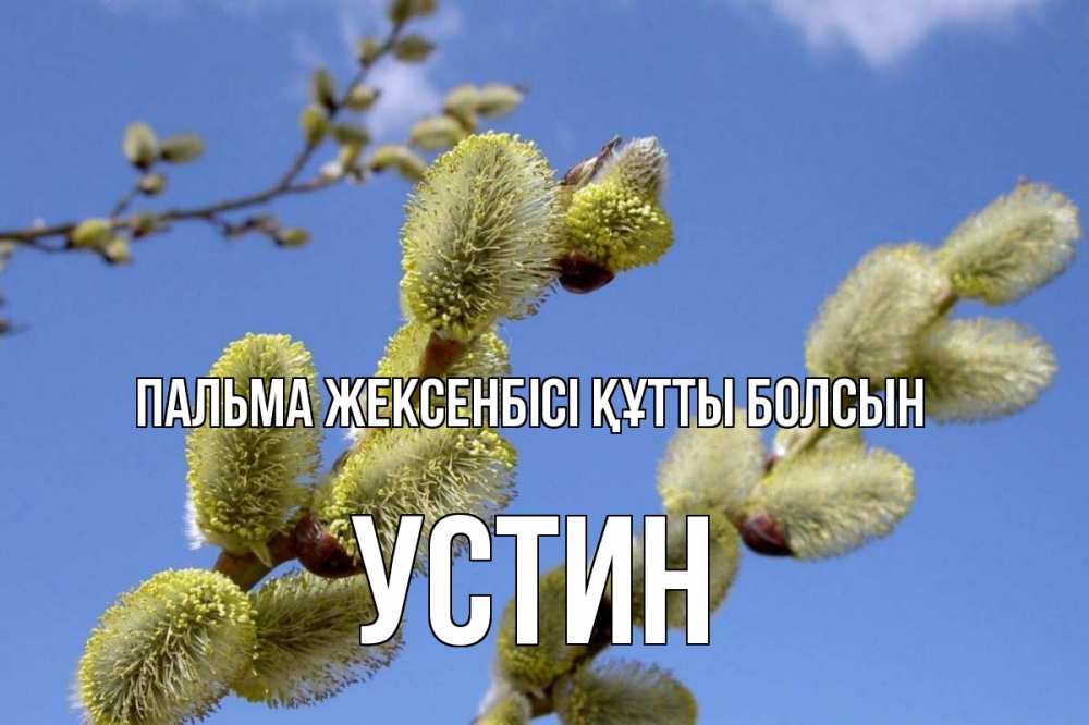 Күн сайын ашық хат с именем, Устин Пальма жексенбісі құтты болсын верба Онлайн тегін жүктеп алу тілектері бар керемет карта 