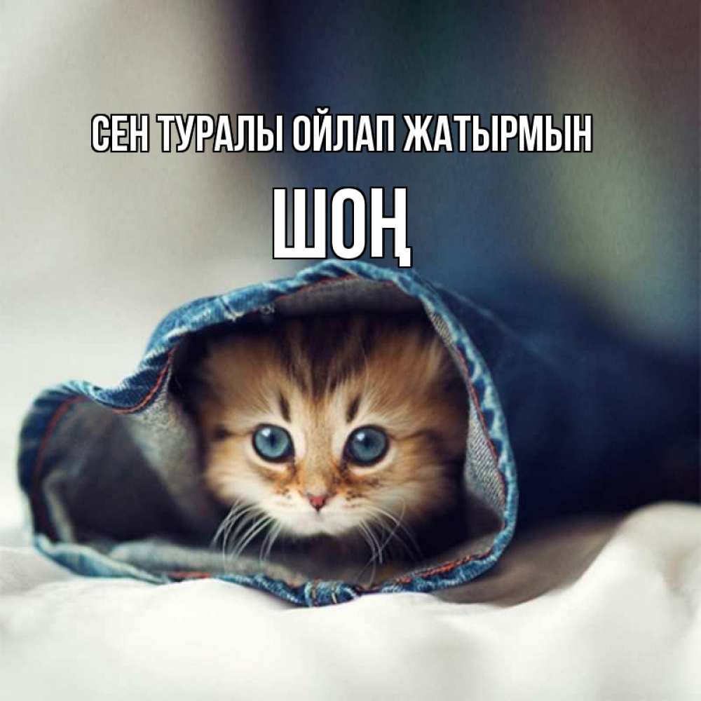 Күн сайын ашық хат с именем, ШОҢ Сен туралы ойлап жатырмын мне без тебя плохо Онлайн тегін жүктеп алу тілектері бар керемет карта 
