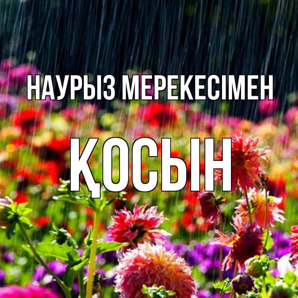 Күн сайын ашық хат с именем, ҚОСЫН Наурыз мерекесімен цветы под дождиком к международному женскому дню Онлайн тегін жүктеп алу тілектері бар керемет карта 