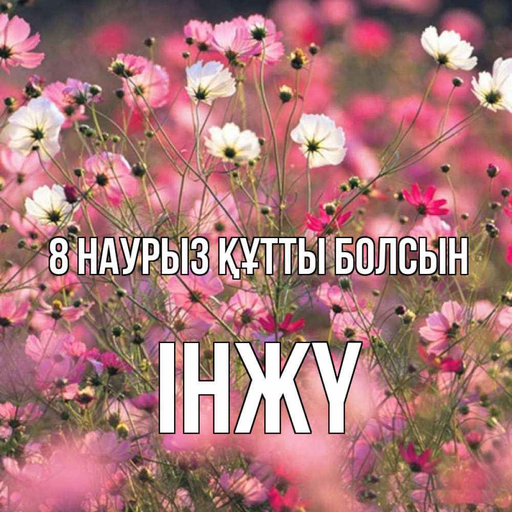 Күн сайын ашық хат с именем, ІНЖҮ 8 наурыз құтты болсын красиво 1 Онлайн тегін жүктеп алу тілектері бар керемет карта 