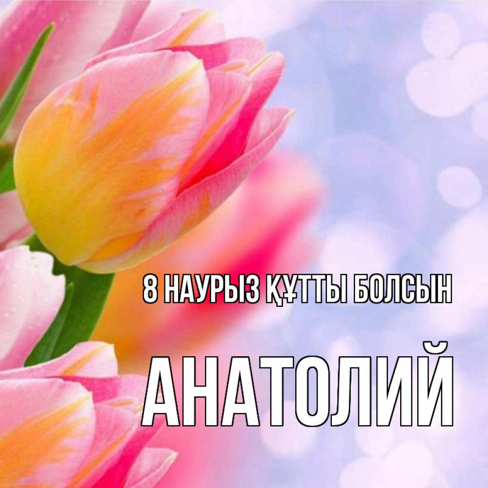 Күн сайын ашық хат с именем, Анатолий 8 наурыз құтты болсын тюльпаны 2 Онлайн тегін жүктеп алу тілектері бар керемет карта 