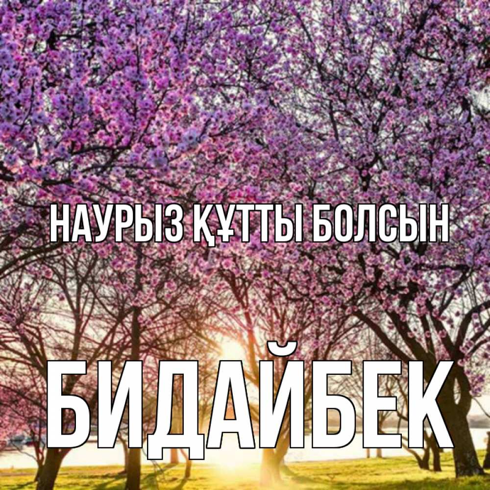 Күн сайын ашық хат с именем, Бидайбек Наурыз құтты болсын наурыз Онлайн тегін жүктеп алу тілектері бар керемет карта 
