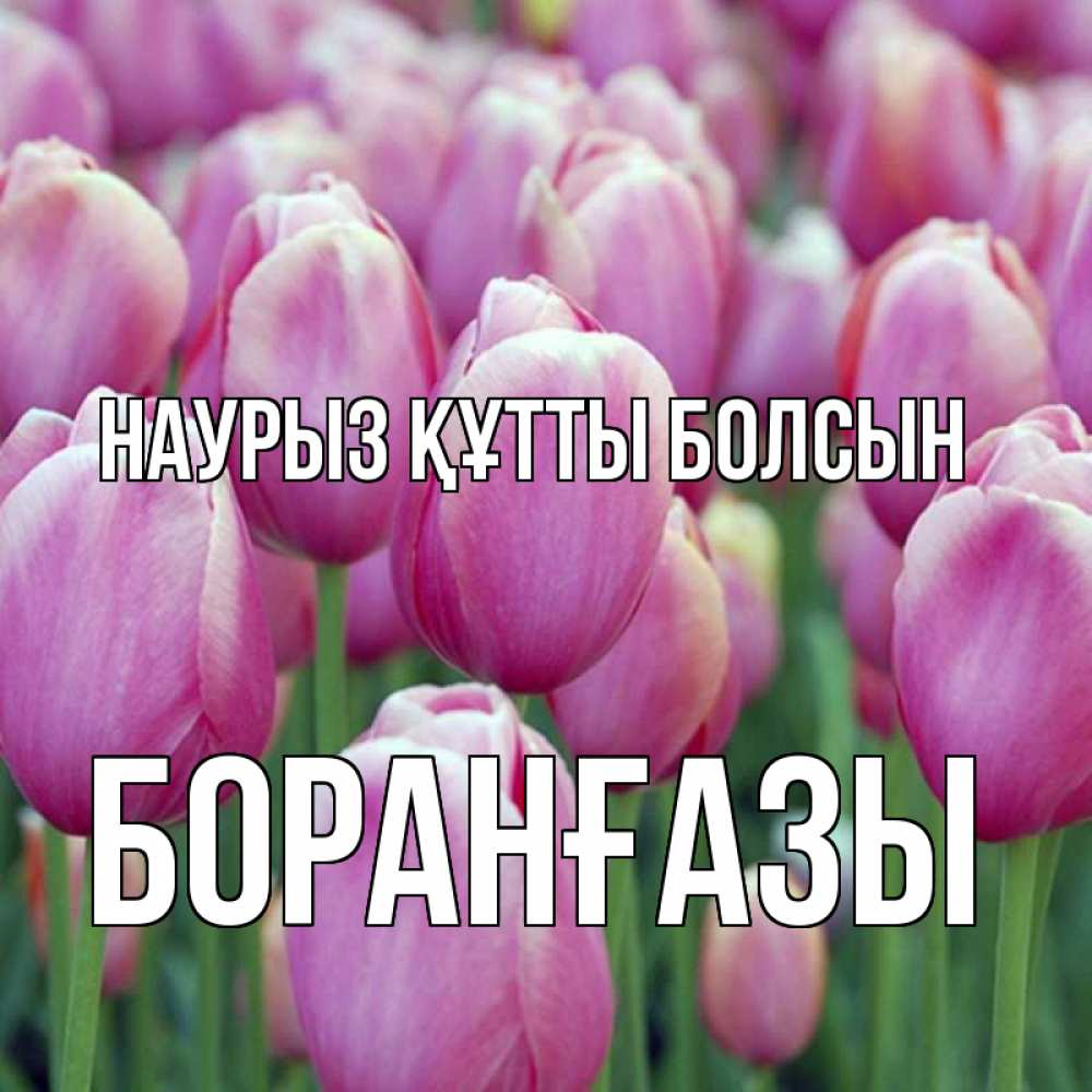 Күн сайын ашық хат с именем, Боранғазы Наурыз құтты болсын на наурыз  день 3 Онлайн тегін жүктеп алу тілектері бар керемет карта 