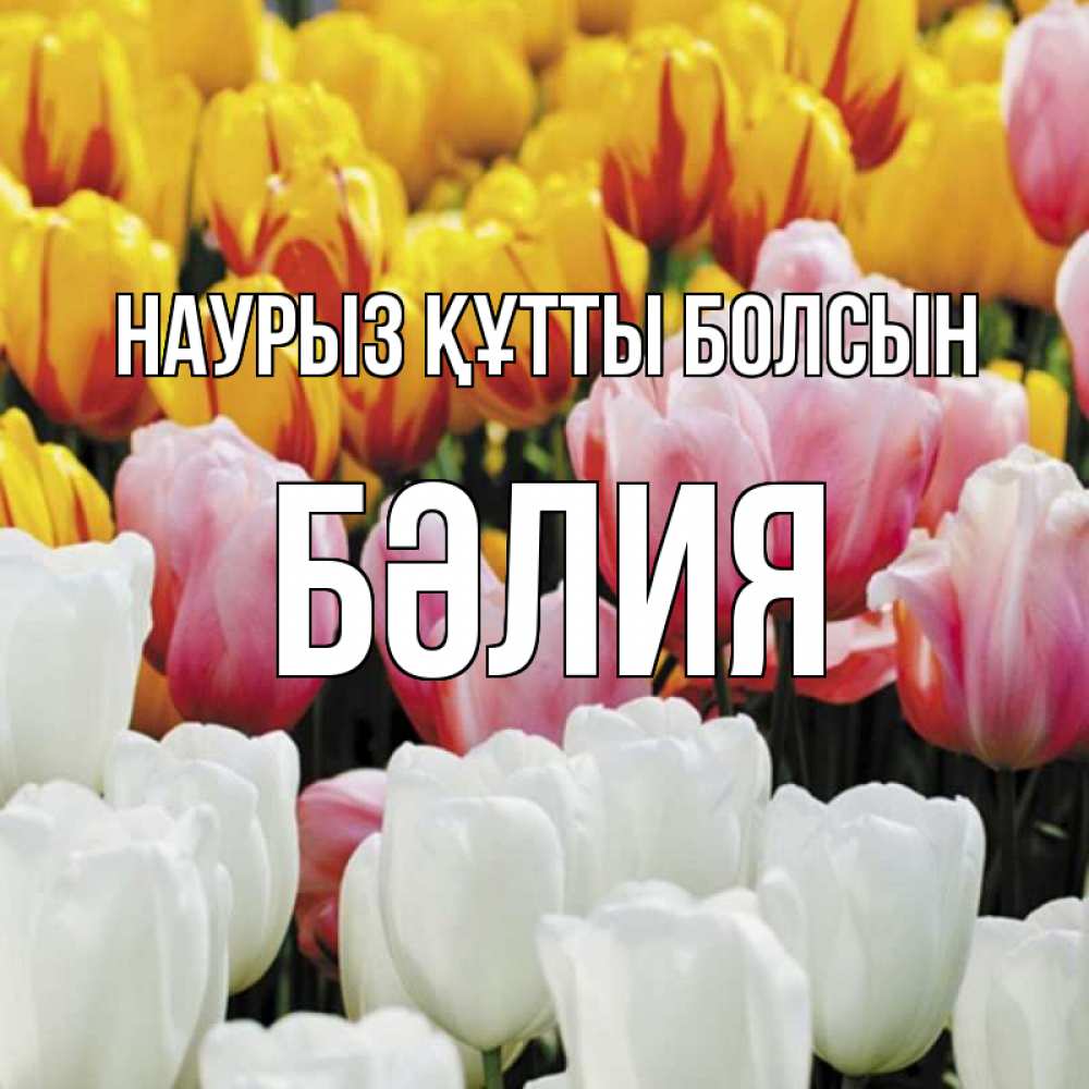 Күн сайын ашық хат с именем, БӘЛИЯ Наурыз құтты болсын разноцветные цветы Онлайн тегін жүктеп алу тілектері бар керемет карта 