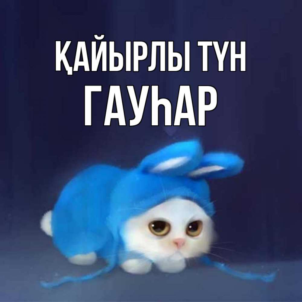 Күн сайын ашық хат с именем, Гауһар Қайырлы түн кот в голубом костюме кролика с ушками Онлайн тегін жүктеп алу тілектері бар керемет карта 