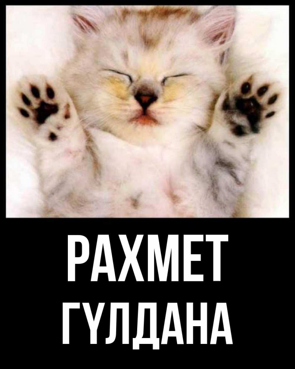 Күн сайын ашық хат с именем, ГҮЛДАНА рахмет маленький котенок Онлайн тегін жүктеп алу тілектері бар керемет карта 