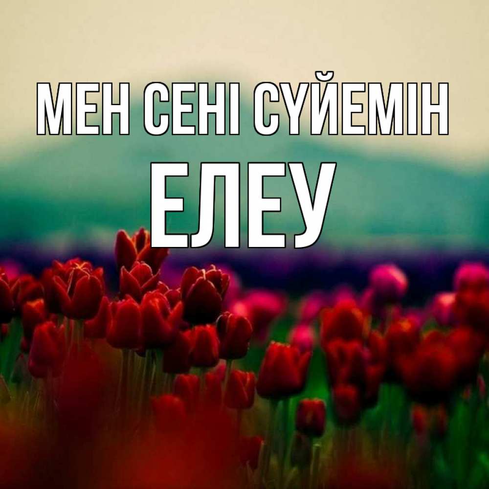 Күн сайын ашық хат с именем, Елеу Мен сені сүйемін тюльпаны 4 Онлайн тегін жүктеп алу тілектері бар керемет карта 