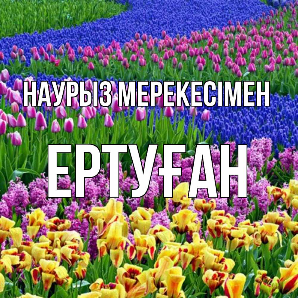 Күн сайын ашық хат с именем, Ертуған Наурыз мерекесімен цветы Онлайн тегін жүктеп алу тілектері бар керемет карта 
